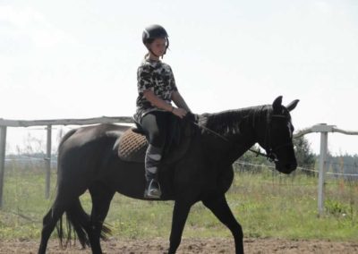 oboz-konie-2016-8-7-0034