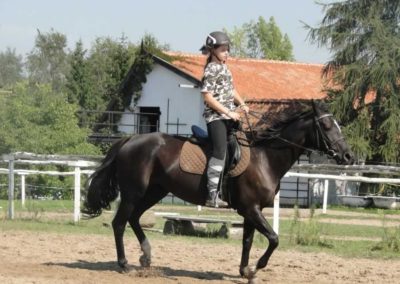 oboz-konie-2016-8-7-0042