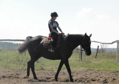 oboz-konie-2016-8-7-0048