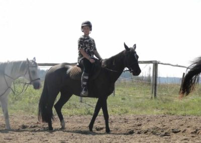 oboz-konie-2016-8-7-0049
