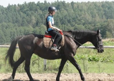 oboz-konie-2016-8-7-0052