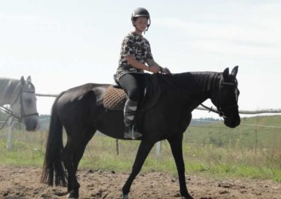 oboz-konie-2016-8-7-0063