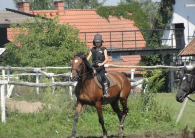 oboz-konie-2016-8-7-0077