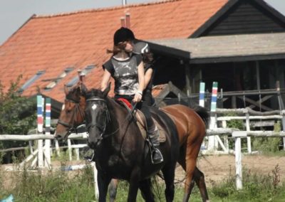 oboz-konie-2016-8-7-0078