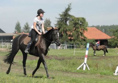 oboz-konie-2016-8-7-0082