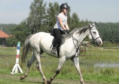 oboz-konie-2016-8-7-0084