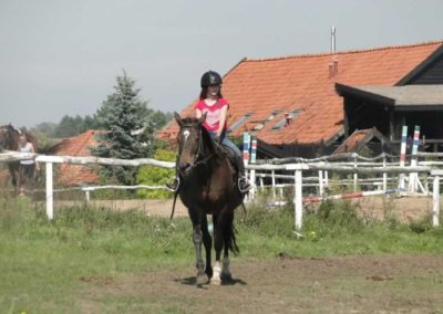 oboz-konie-2016-8-7-0087