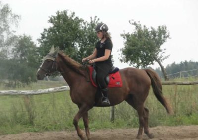 oboz-konie-2016-8-7-0158