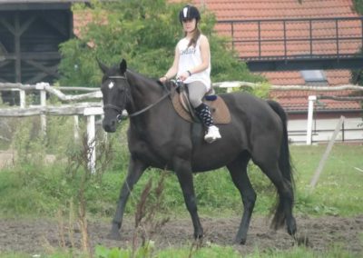 oboz-konie-2016-9-1-0009