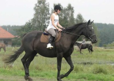 oboz-konie-2016-9-1-0015
