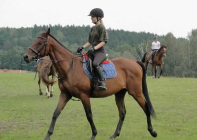 oboz-konie-2016-9-1-0033
