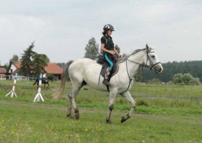 oboz-konie-2016-9-1-0049