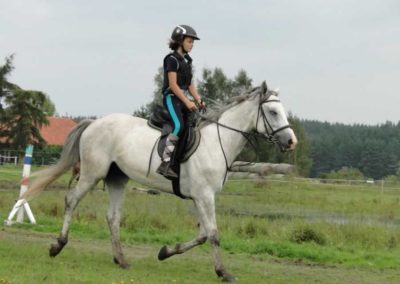oboz-konie-2016-9-1-0057