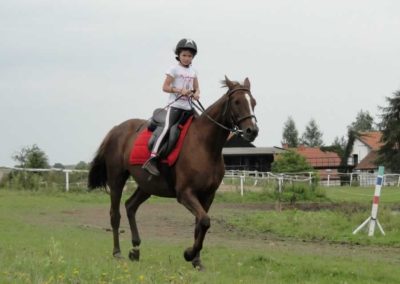 oboz-konie-2016-9-1-0123