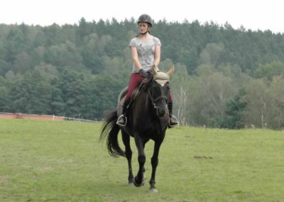 oboz-konie-2016-9-1-0191