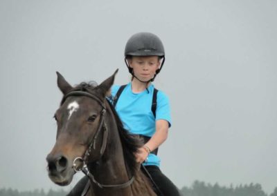 oboz-konie-2016-9-1-0221