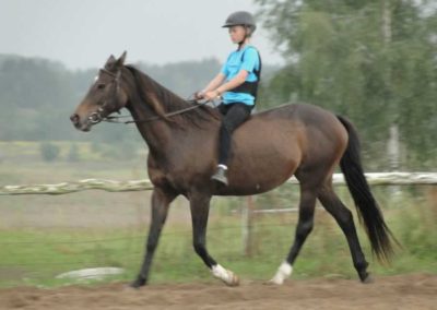 oboz-konie-2016-9-1-0225