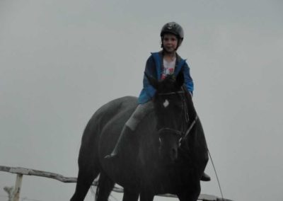 oboz-konie-2016-9-1-0236