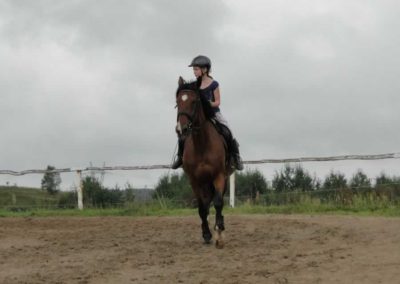 oboz-konie-2016-9-2-0001