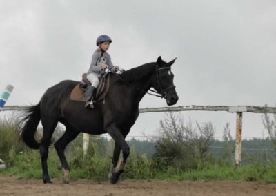 oboz-konie-2016-9-2-0007