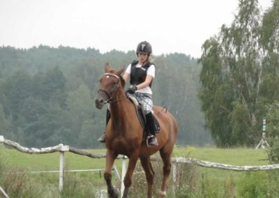 oboz-konie-2016-9-2-0068