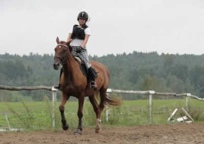 oboz-konie-2016-9-2-0069