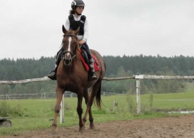 oboz-konie-2016-9-2-0071