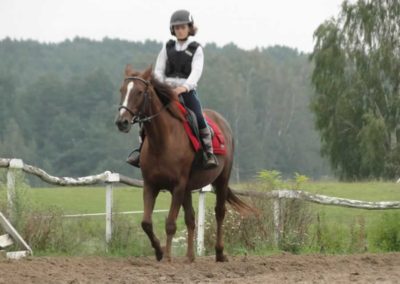 oboz-konie-2016-9-2-0076