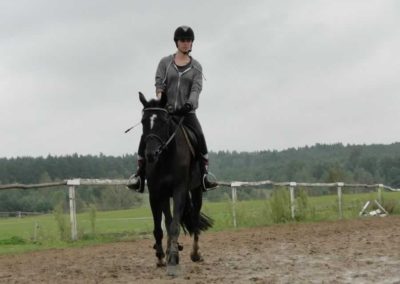oboz-konie-2016-9-2-0088