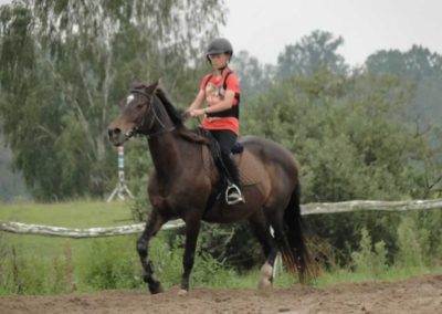 oboz-konie-2016-9-2-0093