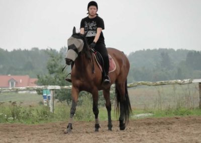 oboz-konie-2016-9-2-0094