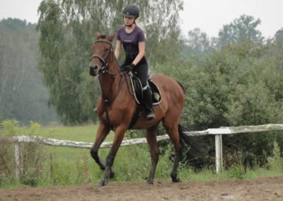 oboz-konie-2016-9-2-0096