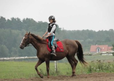 oboz-konie-2016-9-2-0097