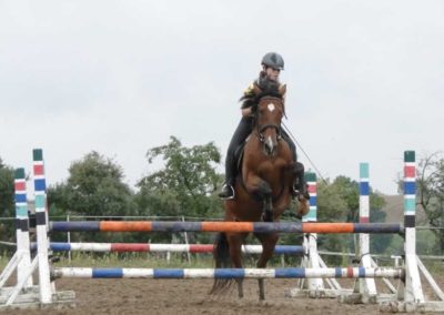 oboz-konie-2016-9-2-0165