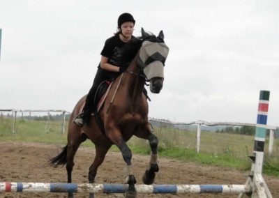 oboz-konie-2016-9-2-0180