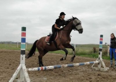 oboz-konie-2016-9-2-0190
