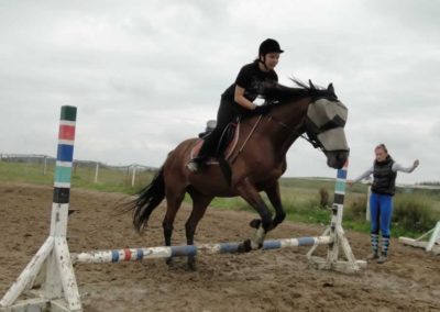 oboz-konie-2016-9-2-0193