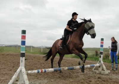 oboz-konie-2016-9-2-0195