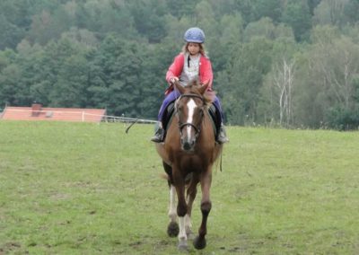 oboz-konie-2016-9-2-0200