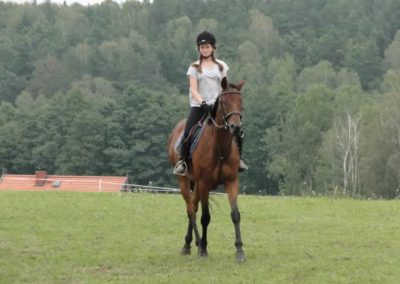 oboz-konie-2016-9-2-0204
