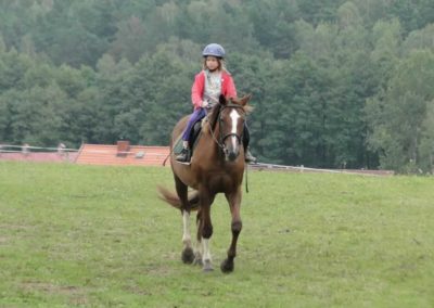 oboz-konie-2016-9-2-0213