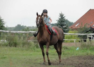 oboz-konie-2016-9-2-0248
