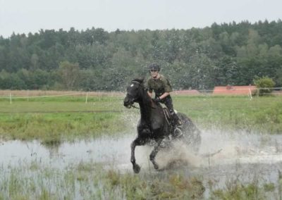 oboz-konie-2016-9-2-0290