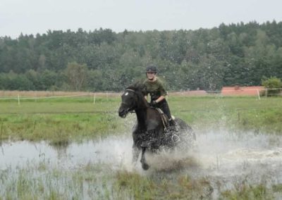 oboz-konie-2016-9-2-0291