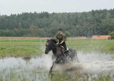 oboz-konie-2016-9-2-0292