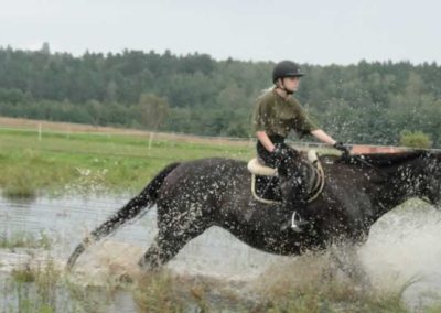 oboz-konie-2016-9-2-0295