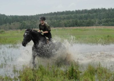oboz-konie-2016-9-2-0297