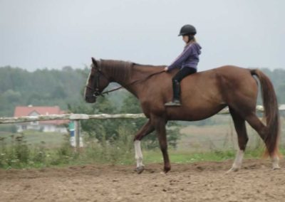 oboz-konie-2016-9-3-0008