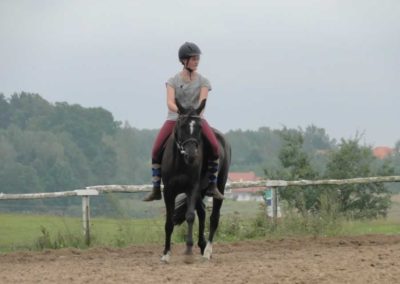 oboz-konie-2016-9-3-0013