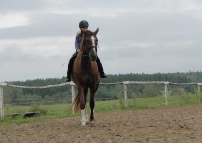 oboz-konie-2016-9-3-0017
